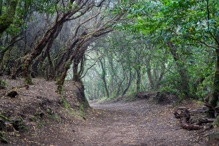 Sendero de los sentidos